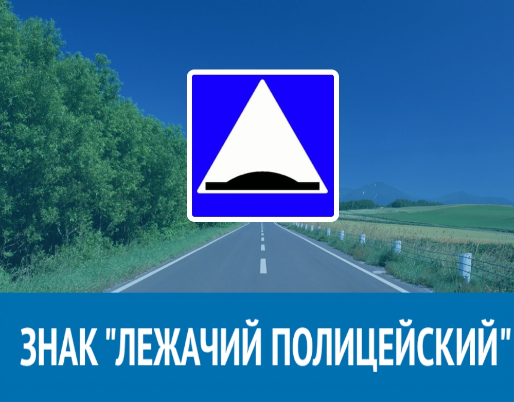 ЗНАК «ЛЕЖАЧИЙ ПОЛИЦЕЙСКИЙ» 