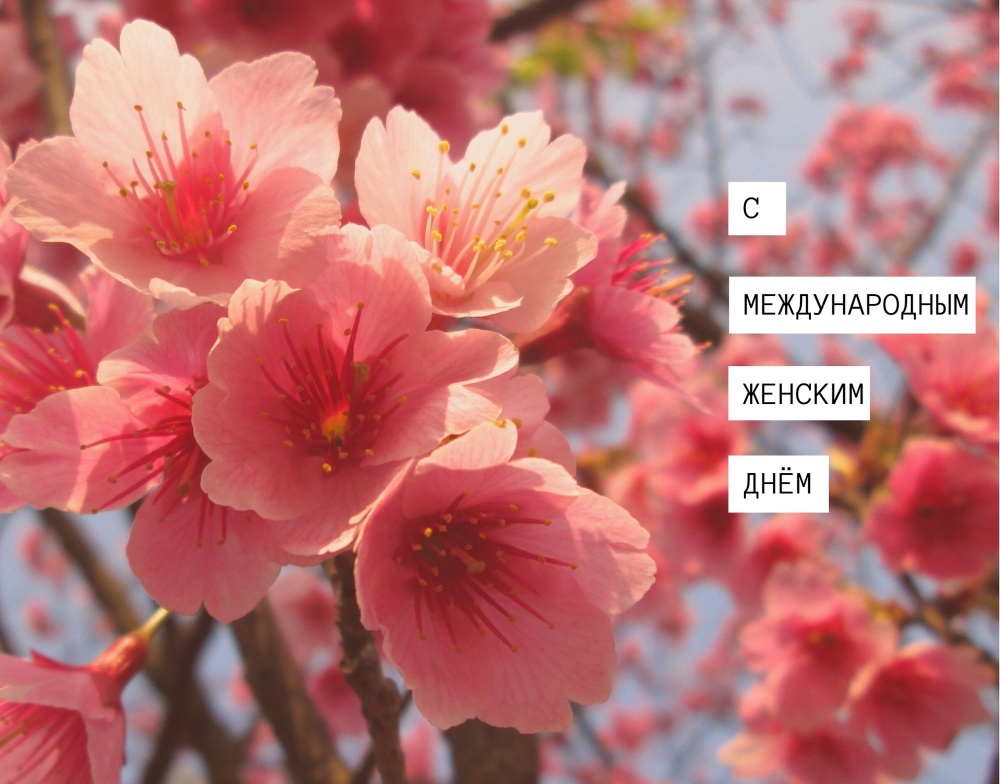 8 марта — день, когда женщины становятся счастливее