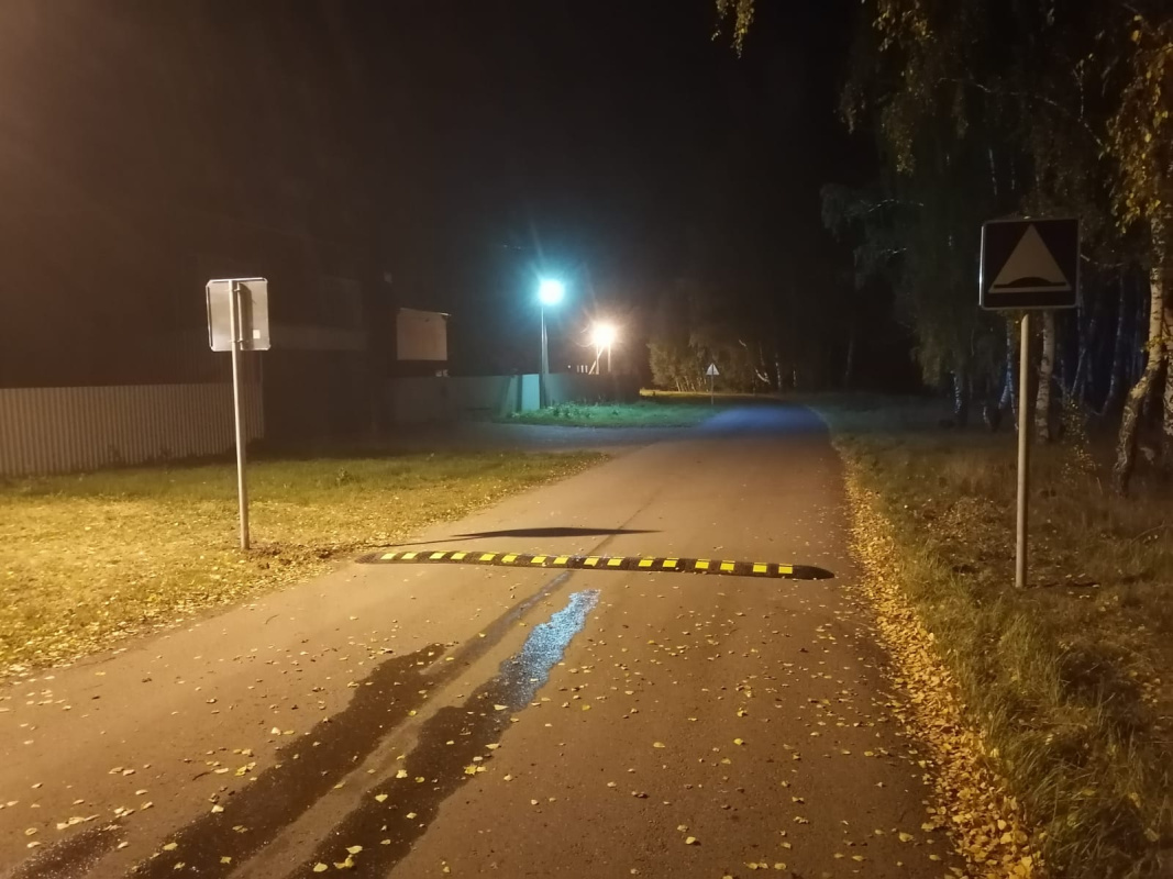 Установка лежачего полицейского в частном секторе - фото 3