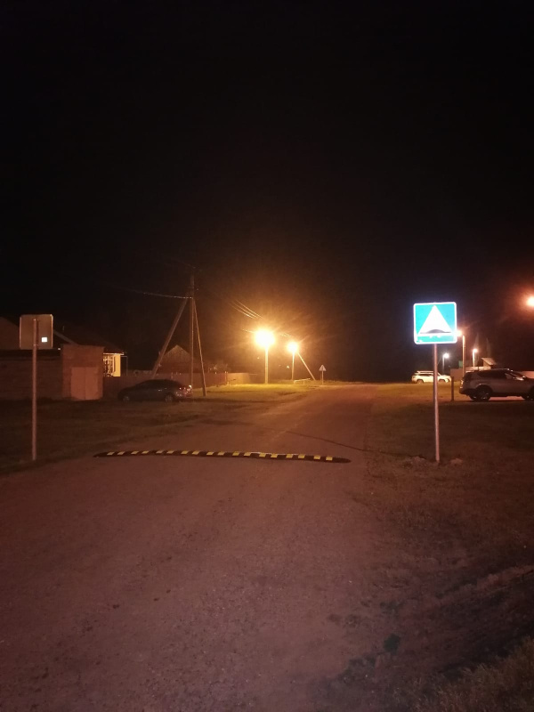 Установка лежачего полицейского в частном секторе - фото 1