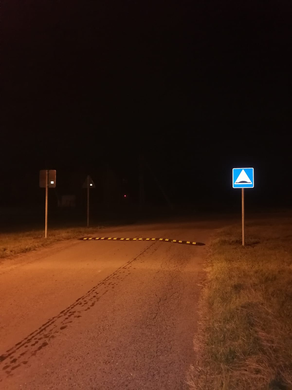 Установка лежачего полицейского в частном секторе - фото 2