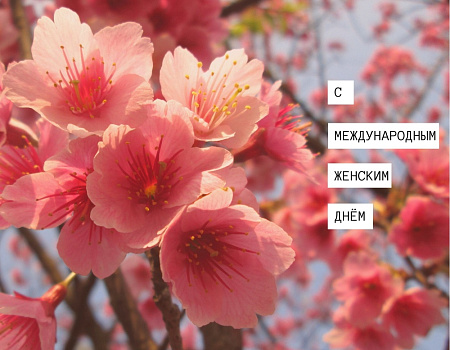 8 марта — день, когда женщины становятся счастливее